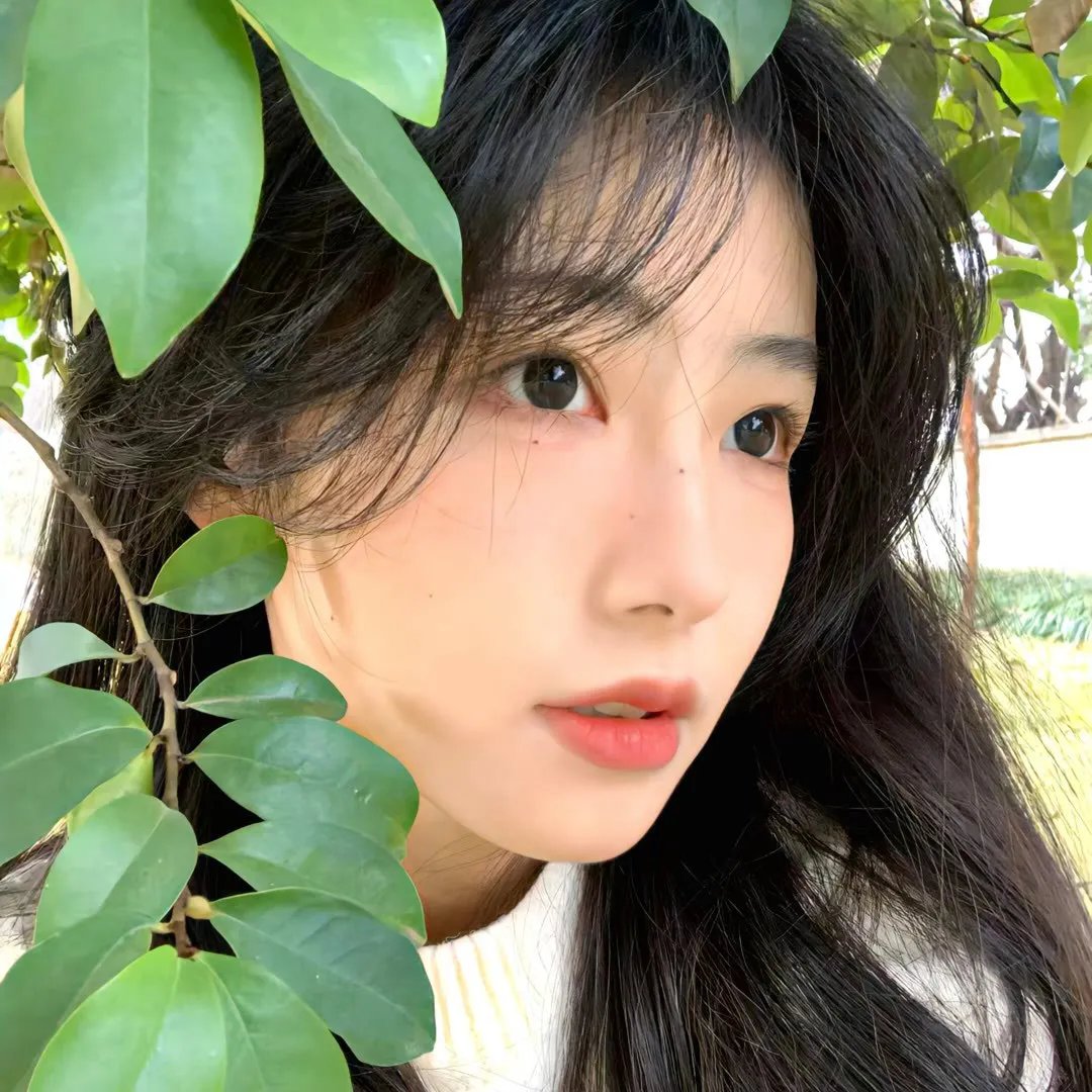 狩猎的时间